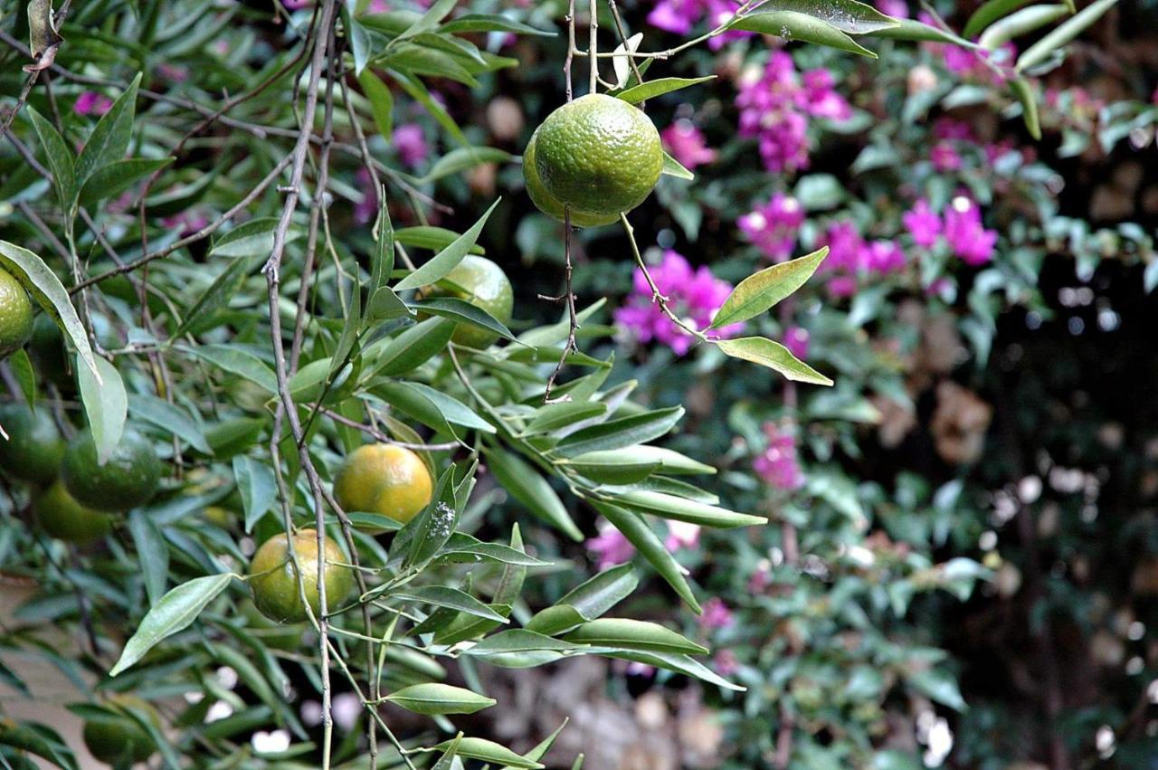 Appartamento Al Vecchio Pozzo Campobello di Licata Esterno foto